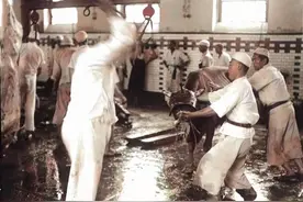 1940年，青岛屠宰场的杀牛现场图片
