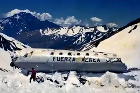 1972年飞机雪山坠毁，为活命24人约定互吃身体，最终存活16人图片