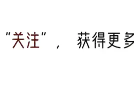 网红胖猫事件引发公众热议：心理健康不应被忽视图片