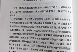 《一蓑烟雨任平生：苏东坡传》第四章图片