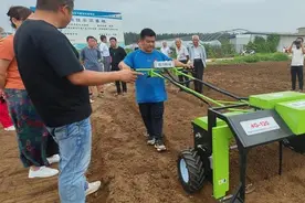 农民种菜用上“机械手”“鄠邑果蔬”亮出现代农业新姿势图片