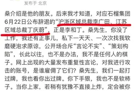 一家集团CEO刘女士举报后续：另外两位男主的丑闻并自述上位动机图片