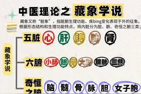 从零自学🀄️医理论（二）：五脏六腑功能及特性图片