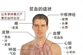 血液报告不为人知的真相 10个早期预警 你会是下一个贫血患者吗？图片