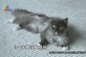 “很神奇！”但她觉得，这事还没完......图片