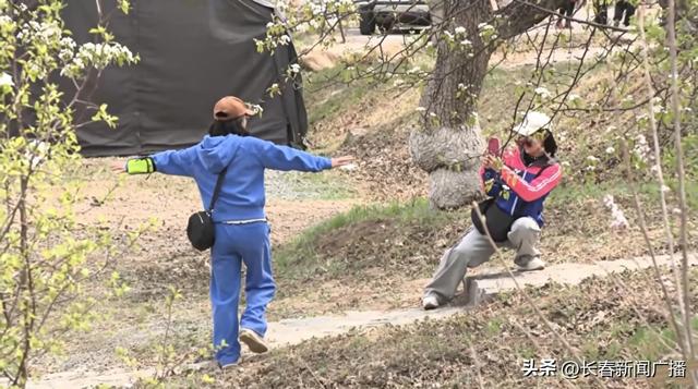 莲花山梨园花开正盛 亲子踏春乐享好春光
