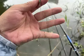 细线总断、粗线不吃？大力马“伺候”，一次性把麻烦都解决！图片