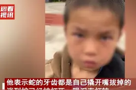 抓蛇拔牙当宠物的广西小男孩，心狠吗？他的眼泪暴露了脆弱和善良图片