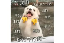 增程车，春节高速上的高达图片