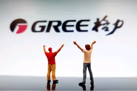 态度、品行、眼界和格局，给董明珠提四点建议图片
