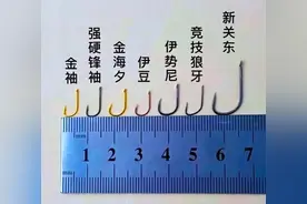 野钓选钩第一条，首先排除伊势尼！这几种都比伊势尼好用图片