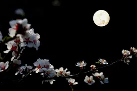 春宵一刻值千金，盘点古人笔下的春夜诗词，值得细细品味！图片