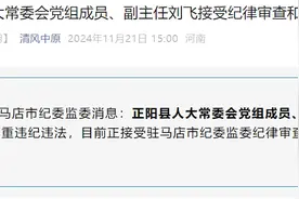 驻马店市正阳县人大常委会党组成员、副主任刘飞接受审查调查图片