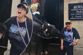 国人英国旅游被皇家马匹咬伤！预测称英政府今秋必加税图片