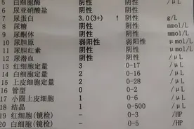 发现尿蛋白3＋不要慌，有的很危险，有的不用管！图片