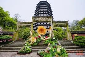 “江南韵·齐鲁情”首届杭菏双城牡丹精品展启幕 南北牡丹共绘锦绣华章图片
