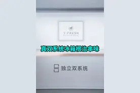 冰箱别瞎买！干了十多年维修的师傅教你挑，TCL和美的是真的香图片
