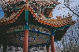 江苏奇怪的城市徐州，五一我去了一趟，有几点实在想不到图片