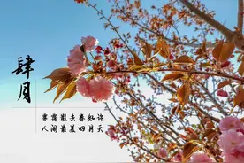 你好四月！这些重要日子帮你记好啦！图片
