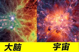研究发现：人类大脑和宇宙高度相似，这意味着什么？图片