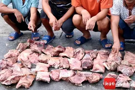 砗磲肉、海龟残肢……海南破获特大走私案 涉案金额3000余万元图片