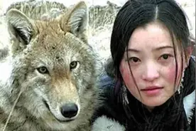 2010年，四川女孩养狼做"儿子"，10年后在草原相认，现状如何了？图片