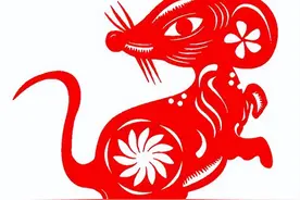 很难交出真心的生肖，智商高，心机深，心眼多，手段不简单图片