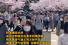 太奇怪！除了日本，全世界樱花都开了，日本樱花可能不再开花？图片