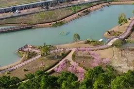 上春山，石湖荡约你来见！图片