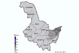 未来三天黑龙江大范围降雪将至 佳木斯等地将连续出现中雪图片