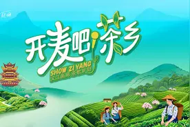 安康紫阳：“5+3+2”体系服务2025年“开麦吧！茶乡”茶文旅活动图片