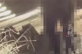 湿地公园监控夜间拍下不雅视频？警方已介入 律师:擅自将视频外泄涉嫌违法图片