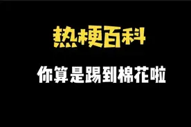 【热梗百科】“​你算是踢到棉花啦”是什么梗？图片