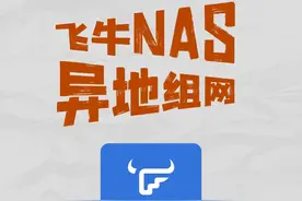 用飞牛OS组网，2025年你应该知道的图片