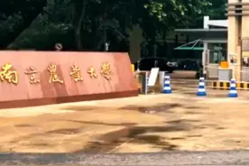 南京农业大学2023年新生数据发布，江苏生源高中前八，南京占七所图片