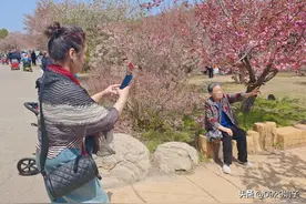 打麻将，你也这样陪伴过父母吗图片