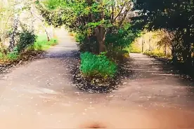 心理测试！你第一眼看到的是什么？图片