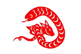 蛇年从2025年什么时间开始算？别搞错啦！图片