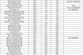 2023湖北高职院校排行：武汉职业技术学院排名第一，而它排在第二图片