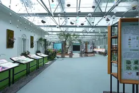 广东着力推动自然教育高质量发展图片