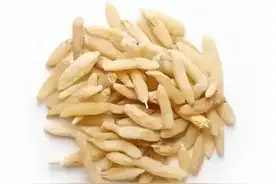 太子参+麦冬巧搭配，补气生津、健脾开胃，长个、长肉、少感冒！图片