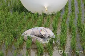 今年第5次！朝鲜再向韩国投放逾350只垃圾气球图片