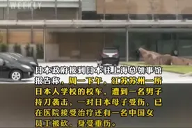 闹大了，袭击日本母子凶手已被抓，评论区网友炸锅！图片