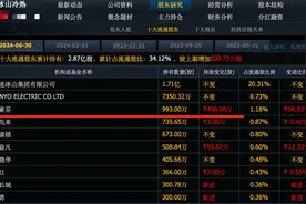 牛散张素芬刚刚介入这9个股票，这两个高盛外资和私募跟着建仓图片