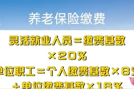 在山东养老保险缴费20年，退休养老金能领多少钱？多长时间回本？图片