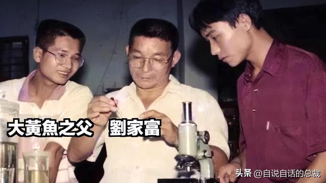 巴西黄鱼胶多少钱一斤 2026年巴西鱼胶便宜吗