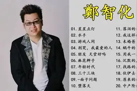 郑智化主要歌曲图片