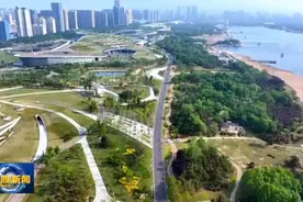 日照：一场马拉松 爱上一座城图片