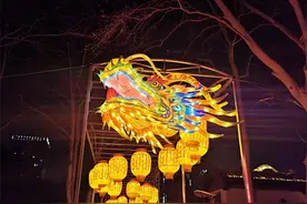 春节假期洛阳本地人爱去哪儿玩？王城公园位居榜首图片