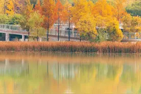 三阴乳腺癌（TNBC）的治疗流程解读！图片